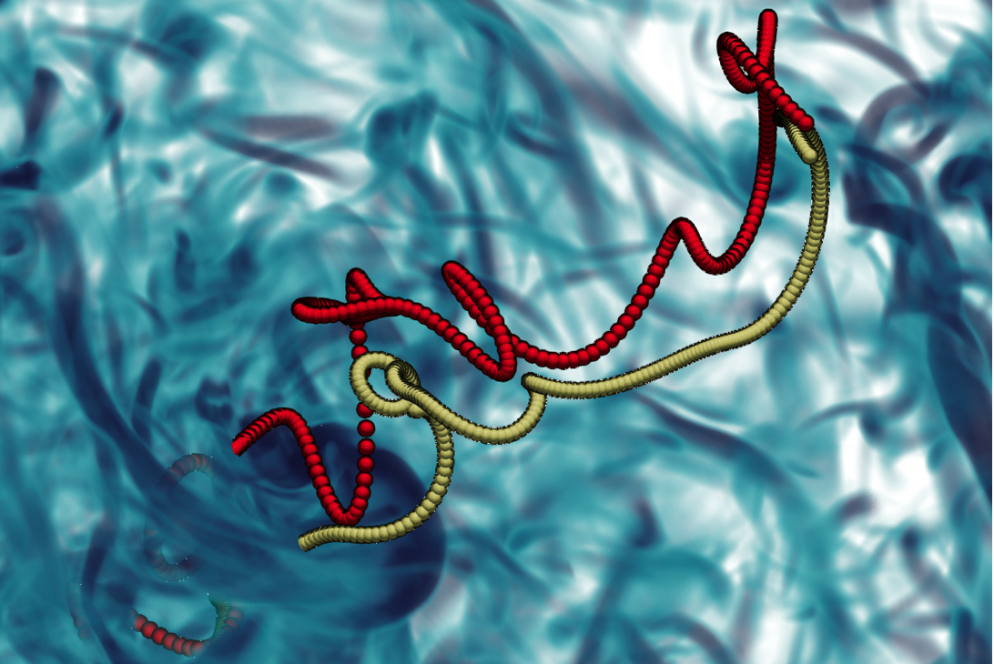 descrizione immagine