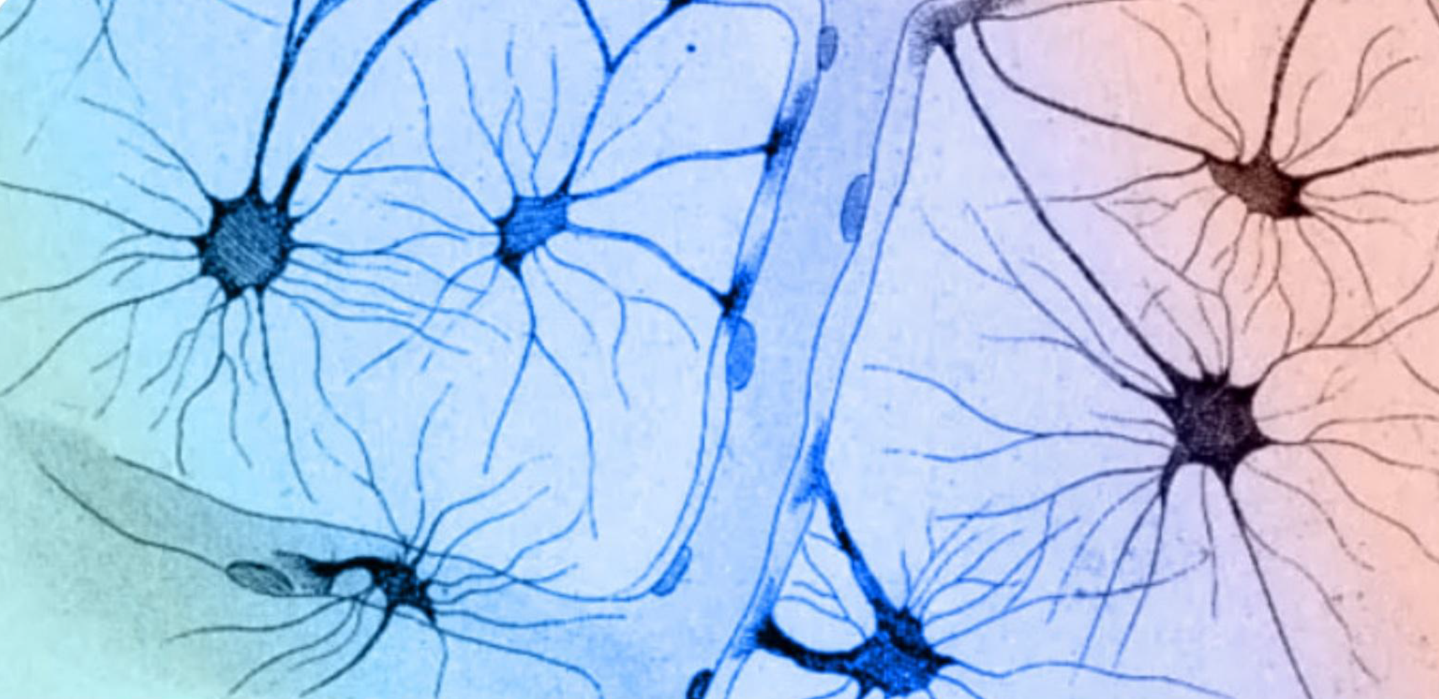 immagine convegno descrizione immagine