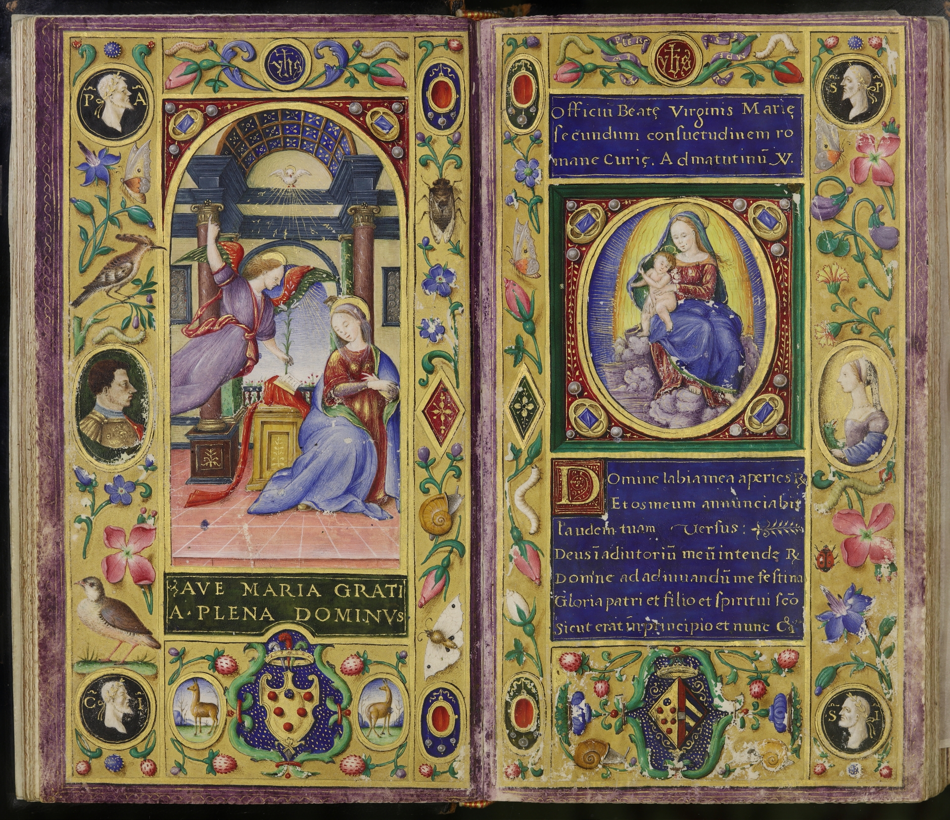 descrizione immagine