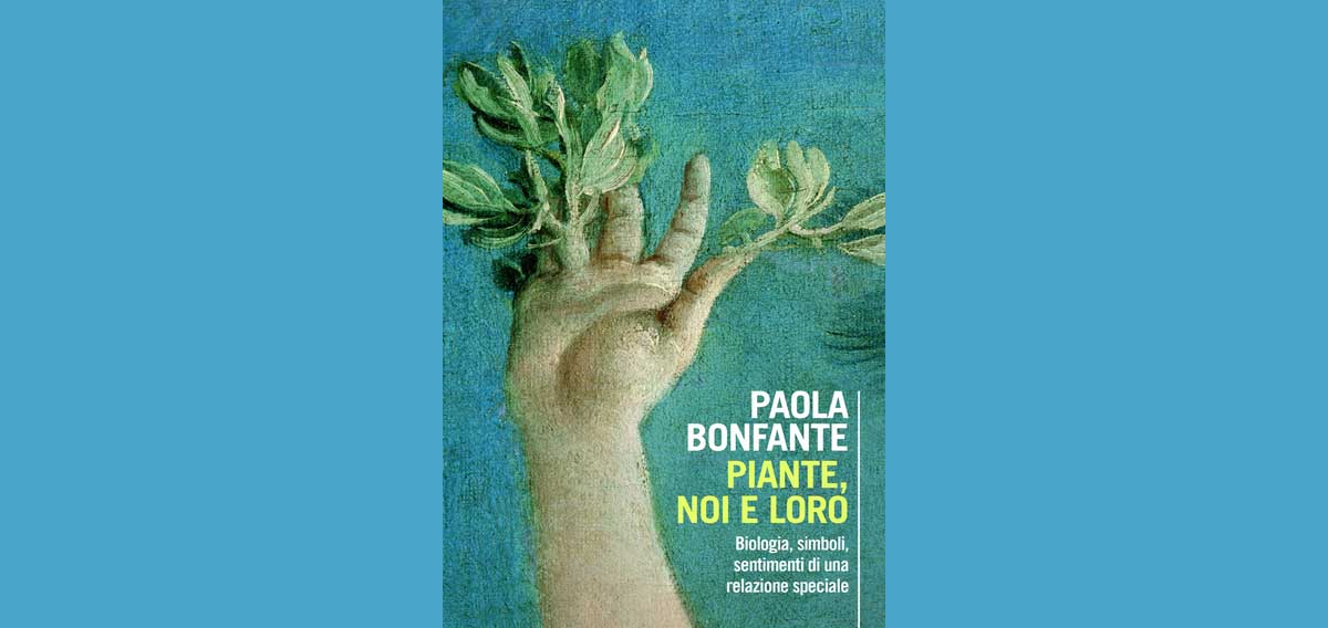 descrizione immagine