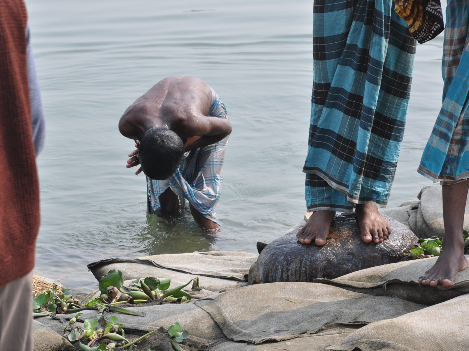 descrizione immagine