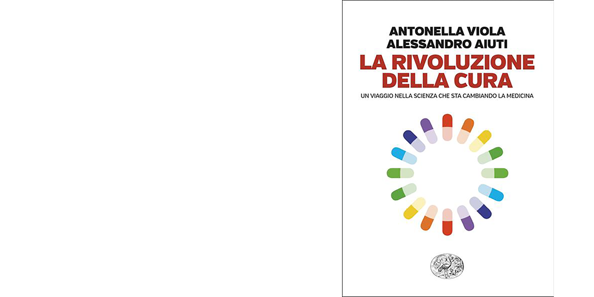 descrizione immagine