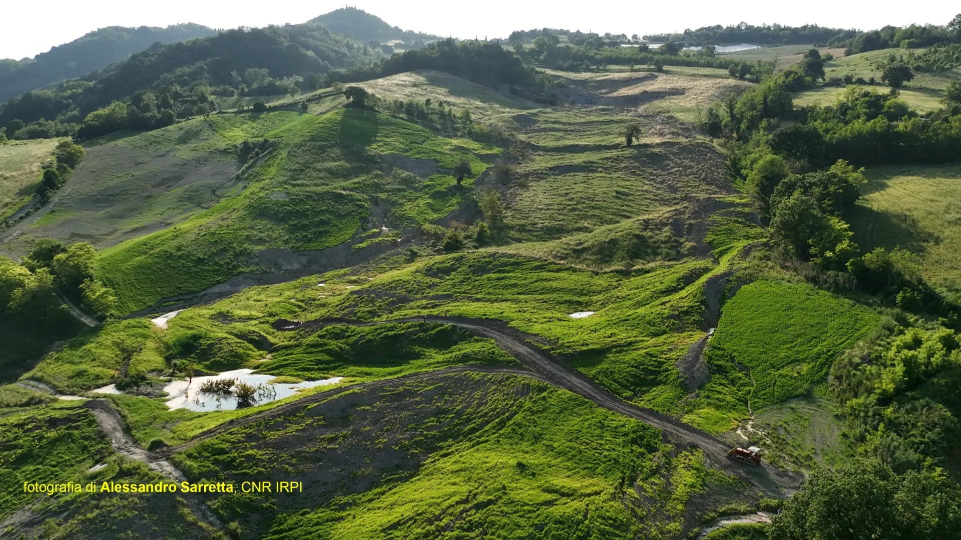 Frane Guzzetti Corsiniana