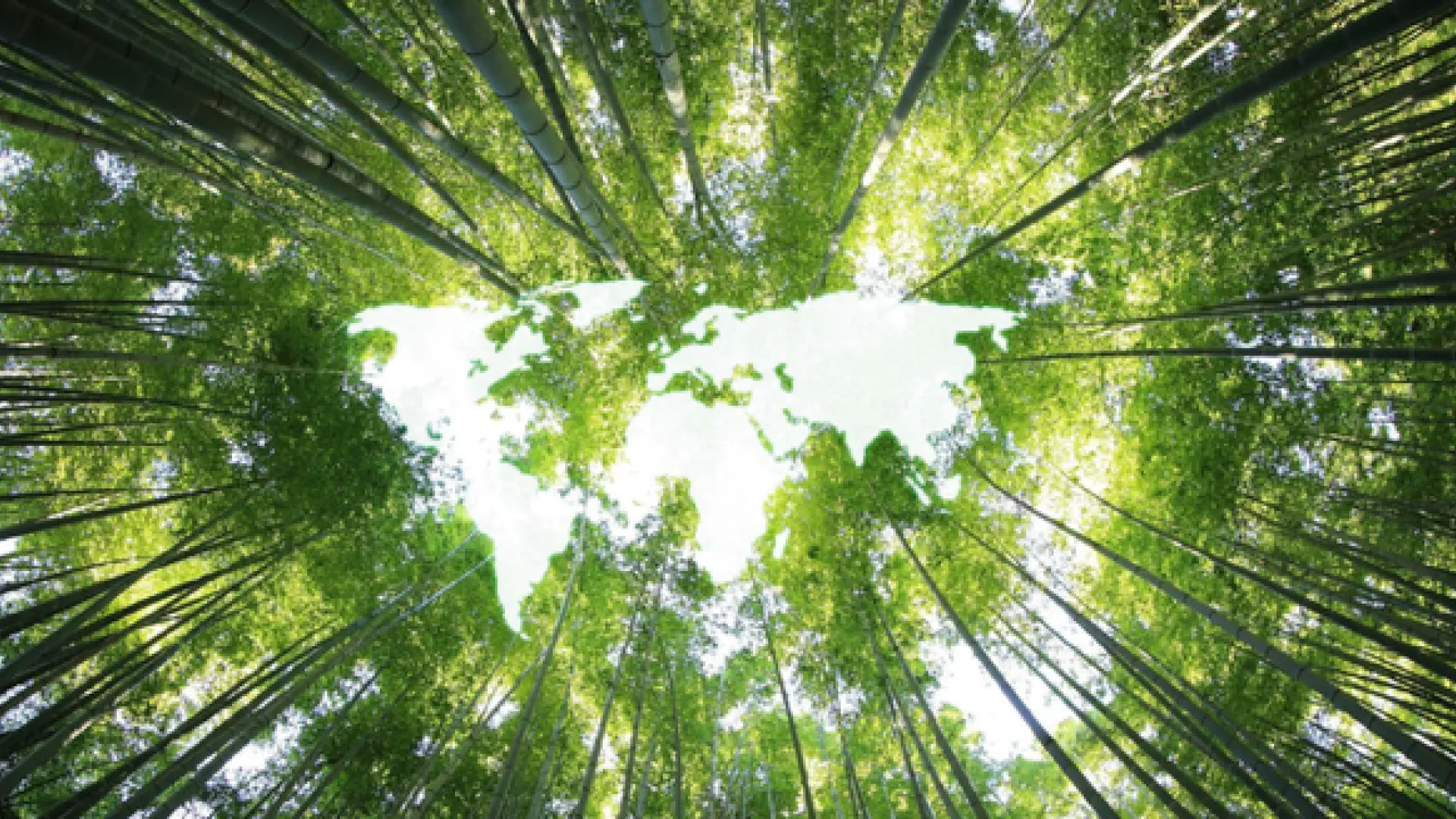 Evolution Equations in Climate