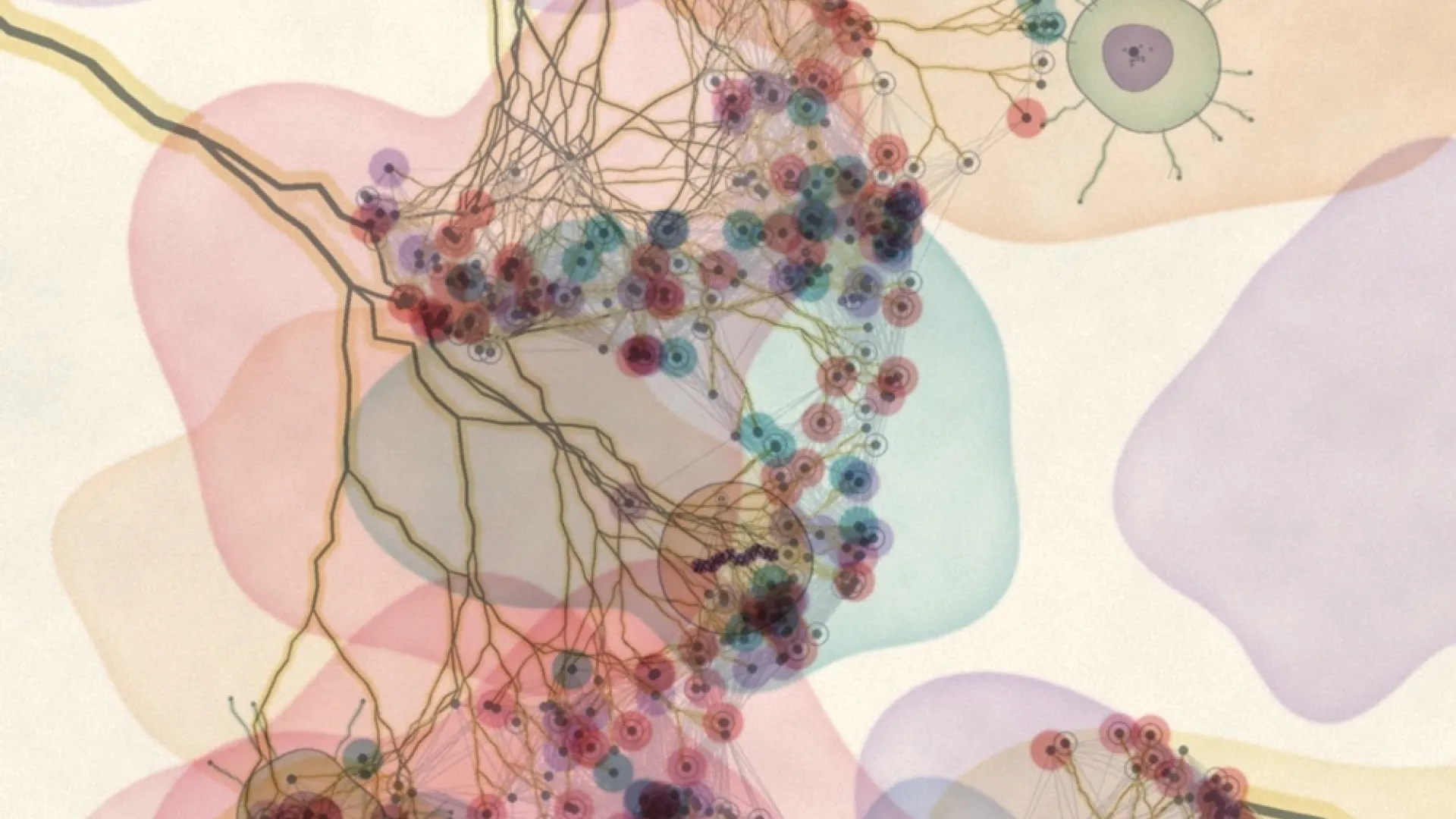 Immagine Cancer and AI
