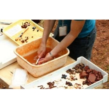 Foto di JamesDeMers da Pixabay