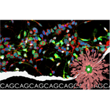 copertina conferenza